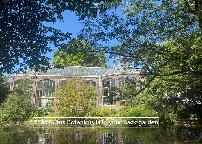 Joyjoyjoy The Green Palm Ecolicious Studio In A In Historic Canalhouse From 1729 With View On The Canals